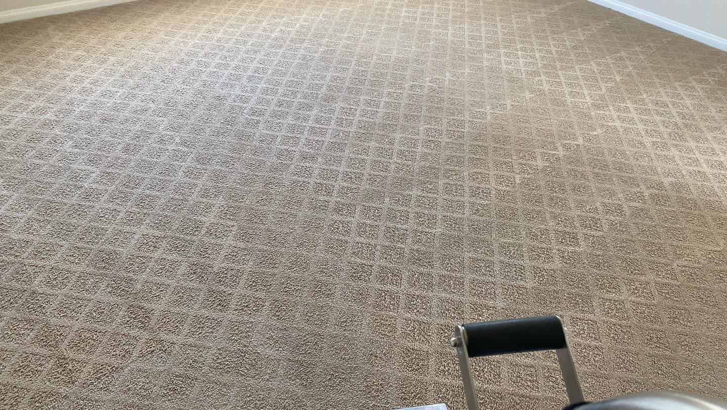 Carpet Protection Treatment image