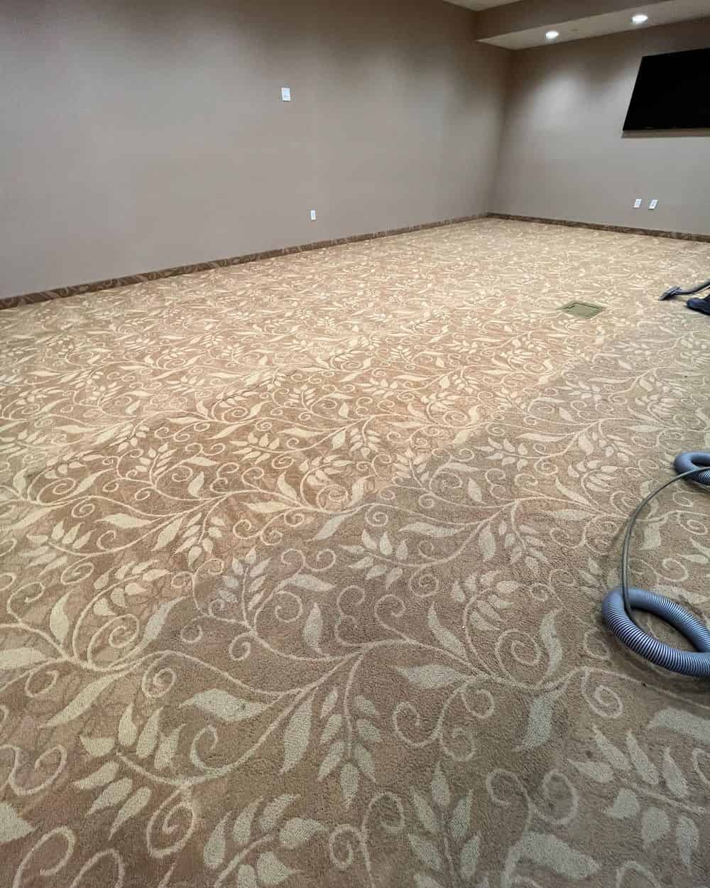 Carpet Steam Cleaning image