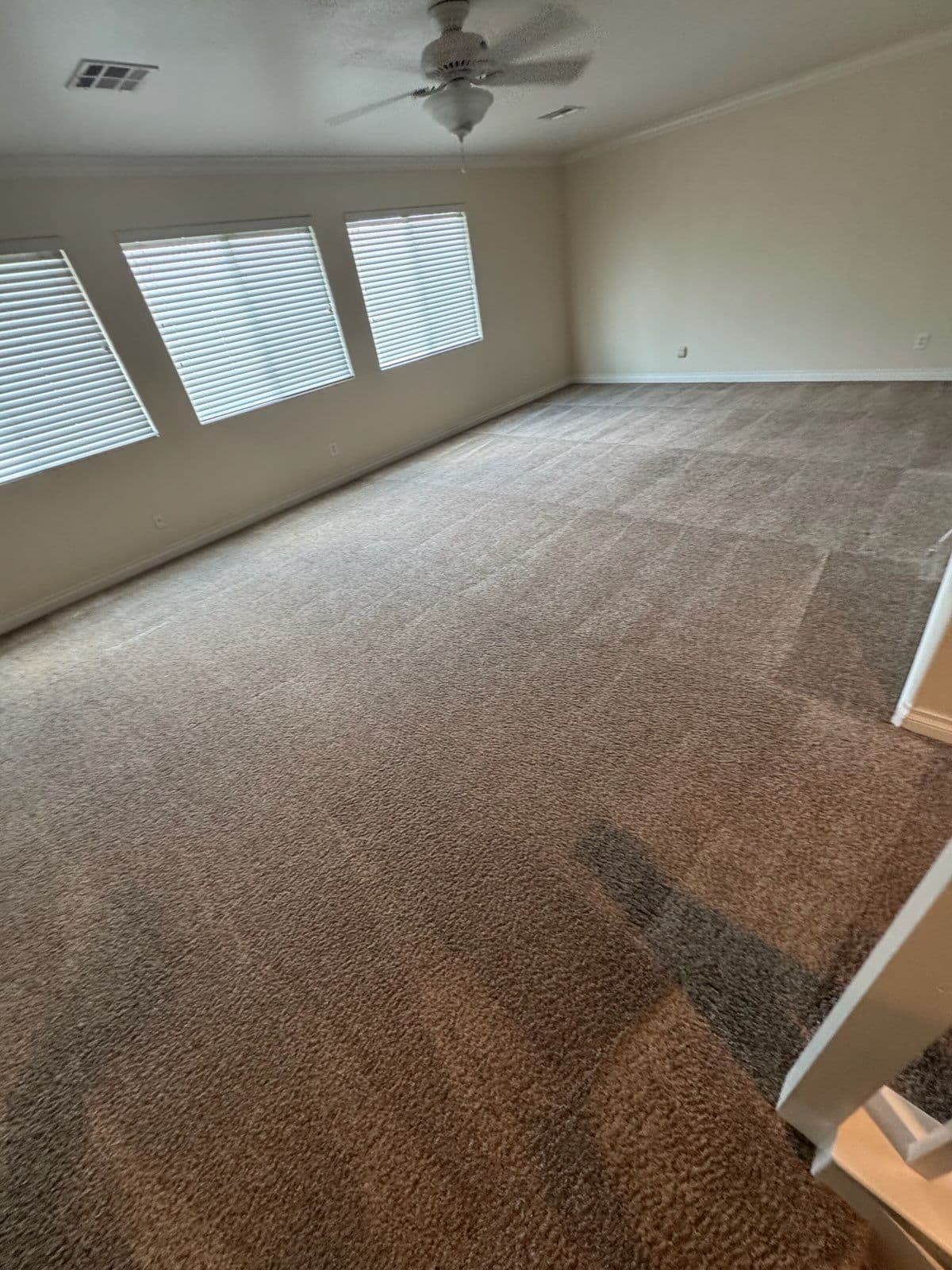 Project Deep Carpet Transformation for a Fresh Living Space image